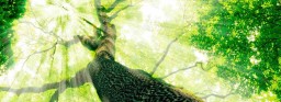 banner_ecologia01